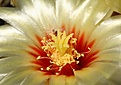 Нажмите на изображение для увеличения.

Название:	IMG_1282.jpg
Просмотров:	207
Размер:	53.6 Кб
ID:	311591
