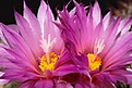 Нажмите на изображение для увеличения.

Название:	IMG_1253.jpg
Просмотров:	202
Размер:	60.0 Кб
ID:	311647