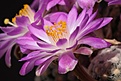 Нажмите на изображение для увеличения.

Название:	IMG_1412.jpg
Просмотров:	179
Размер:	51.3 Кб
ID:	311739