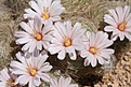 Нажмите на изображение для увеличения.

Название:	IMG_1607.jpg
Просмотров:	197
Размер:	73.8 Кб
ID:	311887