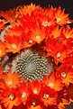 Нажмите на изображение для увеличения.

Название:	IMG_1708.jpg
Просмотров:	193
Размер:	87.9 Кб
ID:	311984