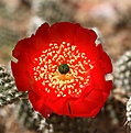 Нажмите на изображение для увеличения.

Название:	IMG_1760.jpg
Просмотров:	280
Размер:	69.0 Кб
ID:	312012