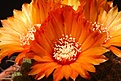 Нажмите на изображение для увеличения.

Название:	IMG_1741.jpg
Просмотров:	197
Размер:	94.3 Кб
ID:	312038