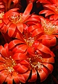 Нажмите на изображение для увеличения.

Название:	IMG_1811.jpg
Просмотров:	182
Размер:	81.7 Кб
ID:	312074
