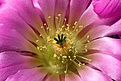 Нажмите на изображение для увеличения.

Название:	IMG_1887.jpg
Просмотров:	203
Размер:	71.9 Кб
ID:	312082