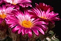 Нажмите на изображение для увеличения.

Название:	IMG_1620.jpg
Просмотров:	203
Размер:	72.7 Кб
ID:	312091