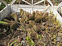 Нажмите на изображение для увеличения.

Название:	IMG_9502.jpg
Просмотров:	225
Размер:	198.7 Кб
ID:	312320