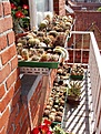 Нажмите на изображение для увеличения.

Название:	Balkon2.jpg
Просмотров:	607
Размер:	176.6 Кб
ID:	312369