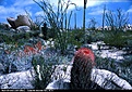 Нажмите на изображение для увеличения.

Название:	catavina central baja california .jpg
Просмотров:	174
Размер:	116.1 Кб
ID:	312665