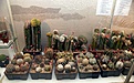 Нажмите на изображение для увеличения.

Название:	DSC00235.jpg
Просмотров:	233
Размер:	166.0 Кб
ID:	312893