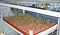 Нажмите на изображение для увеличения.

Название:	adenium_11_2010_DSCN7932.jpg
Просмотров:	151
Размер:	182.0 Кб
ID:	313337