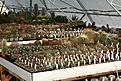 Нажмите на изображение для увеличения.

Название:	2011_01_greenhouse_IMG_9967.jpg
Просмотров:	232
Размер:	170.7 Кб
ID:	313982
