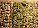 Нажмите на изображение для увеличения.

Название:	120076.jpg
Просмотров:	420
Размер:	97.5 Кб
ID:	314478