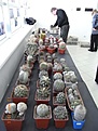 Нажмите на изображение для увеличения.

Название:	R0014402.JPG
Просмотров:	235
Размер:	61.5 Кб
ID:	314634