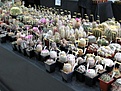 Нажмите на изображение для увеличения.

Название:	IMG_1957.jpg
Просмотров:	152
Размер:	119.0 Кб
ID:	314710
