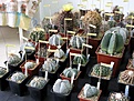 Нажмите на изображение для увеличения.

Название:	IMG_1963.jpg
Просмотров:	160
Размер:	115.2 Кб
ID:	314712