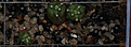 Нажмите на изображение для увеличения.

Название:	Echinocactus_texensis.jpg
Просмотров:	310
Размер:	155.2 Кб
ID:	314773