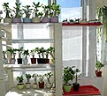 Нажмите на изображение для увеличения.

Название:	P1000565_1w.jpg
Просмотров:	210
Размер:	122.0 Кб
ID:	315352