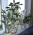 Нажмите на изображение для увеличения.

Название:	DSCF5717_1w.jpg
Просмотров:	194
Размер:	128.3 Кб
ID:	316890