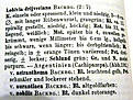 Нажмите на изображение для увеличения.

Название:	Lobivia drijveriana Backbg1.JPG
Просмотров:	933
Размер:	159.3 Кб
ID:	317740