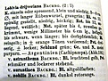 Нажмите на изображение для увеличения.

Название:	Lobivia drijveriana Backbg1.JPG
Просмотров:	793
Размер:	159.3 Кб
ID:	317740