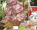 Нажмите на изображение для увеличения.

Название:	06.08.11001.jpg
Просмотров:	207
Размер:	37.5 Кб
ID:	318124