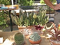 Нажмите на изображение для увеличения.

Название:	06.08.11031.jpg
Просмотров:	208
Размер:	163.0 Кб
ID:	318141