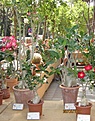 Нажмите на изображение для увеличения.

Название:	MarinaRomea06.08.119.jpg
Просмотров:	193
Размер:	164.3 Кб
ID:	318147