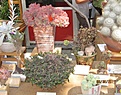 Нажмите на изображение для увеличения.

Название:	06.08.11002.jpg
Просмотров:	203
Размер:	142.2 Кб
ID:	318155