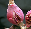 Нажмите на изображение для увеличения.

Название:	2011_09_03039.jpg
Просмотров:	291
Размер:	100.8 Кб
ID:	318794