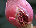 Нажмите на изображение для увеличения.

Название:	2011_09_030391.jpg
Просмотров:	296
Размер:	137.9 Кб
ID:	318795