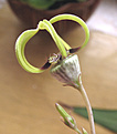 Нажмите на изображение для увеличения.

Название:	flower2.jpg
Просмотров:	1233
Размер:	176.7 Кб
ID:	319273