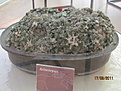Нажмите на изображение для увеличения.

Название:	IMG_0821.JPG
Просмотров:	217
Размер:	117.0 Кб
ID:	319451
