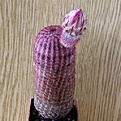 Нажмите на изображение для увеличения.

Название:	Echinocereus_rigidissimus_rubispinus_512x512.jpg
Просмотров:	160
Размер:	221.5 Кб
ID:	320651