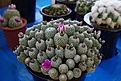 Нажмите на изображение для увеличения.

Название:	090125.10.jpg
Просмотров:	366
Размер:	49.6 Кб
ID:	321101