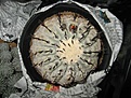 Нажмите на изображение для увеличения.

Название:	KY11-1-35.JPG
Просмотров:	353
Размер:	63.4 Кб
ID:	321119