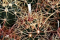 Нажмите на изображение для увеличения.

Название:	IMG_9469.jpg
Просмотров:	147
Размер:	175.8 Кб
ID:	321961