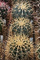 Нажмите на изображение для увеличения.

Название:	IMG_9642.jpg
Просмотров:	169
Размер:	200.1 Кб
ID:	321975