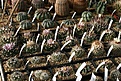Нажмите на изображение для увеличения.

Название:	IMG_9658.jpg
Просмотров:	174
Размер:	158.6 Кб
ID:	321982