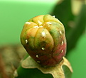 Нажмите на изображение для увеличения.

Название:	seedlings.jpg
Просмотров:	311
Размер:	102.7 Кб
ID:	322176