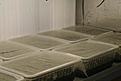 Нажмите на изображение для увеличения.

Название:	2-onsh_IMG_0499.jpg
Просмотров:	225
Размер:	48.7 Кб
ID:	322392