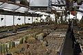 Нажмите на изображение для увеличения.

Название:	warmgreenhouse3.JPG
Просмотров:	230
Размер:	180.2 Кб
ID:	322511