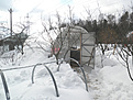 Нажмите на изображение для увеличения.

Название:	d_001.jpg
Просмотров:	278
Размер:	99.2 Кб
ID:	322687
