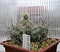 Нажмите на изображение для увеличения.

Название:	2_2012_03_29023.jpg
Просмотров:	206
Размер:	137.8 Кб
ID:	322700
