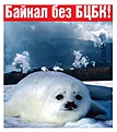 Нажмите на изображение для увеличения.

Название:	BCBK-2.jpg
Просмотров:	163
Размер:	48.4 Кб
ID:	322870