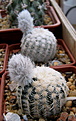 Нажмите на изображение для увеличения.

Название:	x_2012_04_13041.jpg
Просмотров:	153
Размер:	107.1 Кб
ID:	322876
