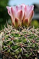 Нажмите на изображение для увеличения.

Название:	IMG_3630533x800.jpg
Просмотров:	155
Размер:	268.1 Кб
ID:	323920