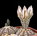 Нажмите на изображение для увеличения.

Название:	2012_06_05012.jpg
Просмотров:	163
Размер:	98.9 Кб
ID:	324610