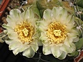 Нажмите на изображение для увеличения.

Название:	IMG_8404.JPG
Просмотров:	149
Размер:	24.8 Кб
ID:	325453