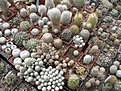 Нажмите на изображение для увеличения.

Название:	IMG_8455.JPG
Просмотров:	147
Размер:	49.2 Кб
ID:	325574